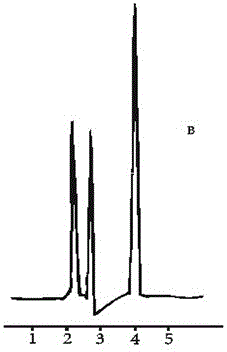 Uncaria sustained-release capsule preparation and preparation method thereof