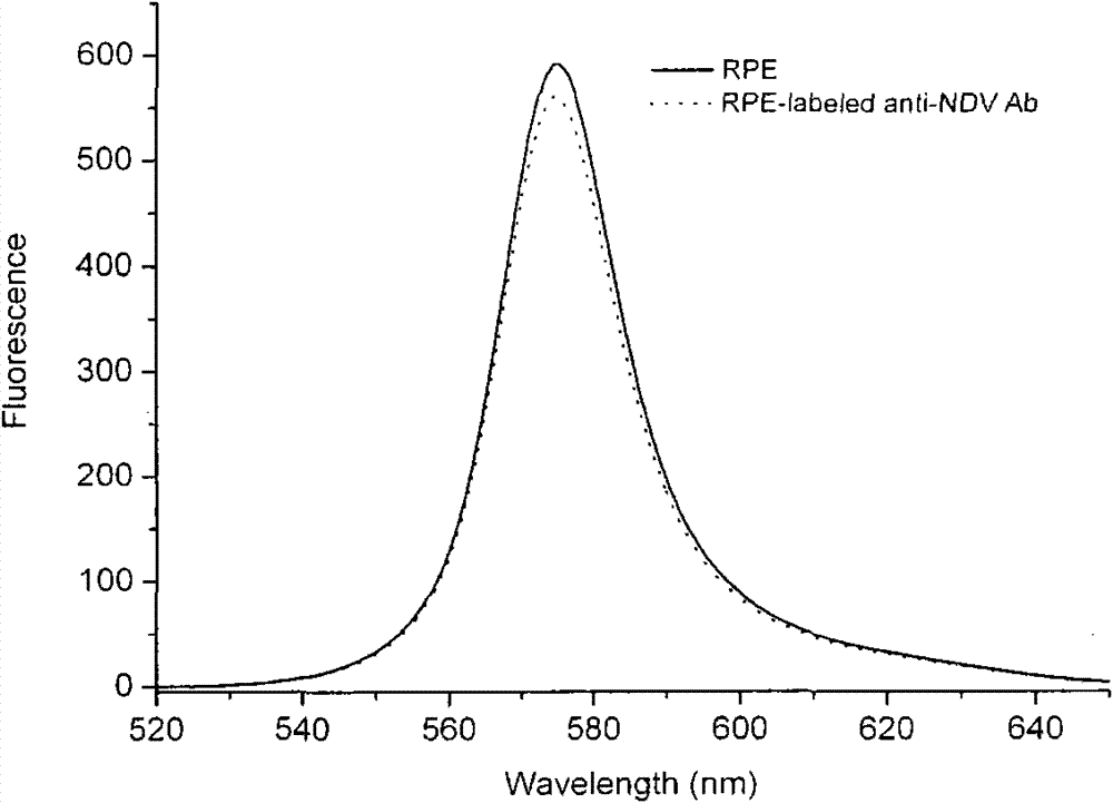 Preparation method of fluorescence antibody for detecting Newcastle disease virus and solid-phase immunofluorescence detection assay kit