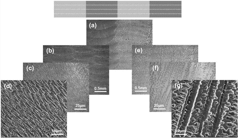 Laser metal 3D printing method capable of achieving customization of local solidification structures of nickel base functional part
