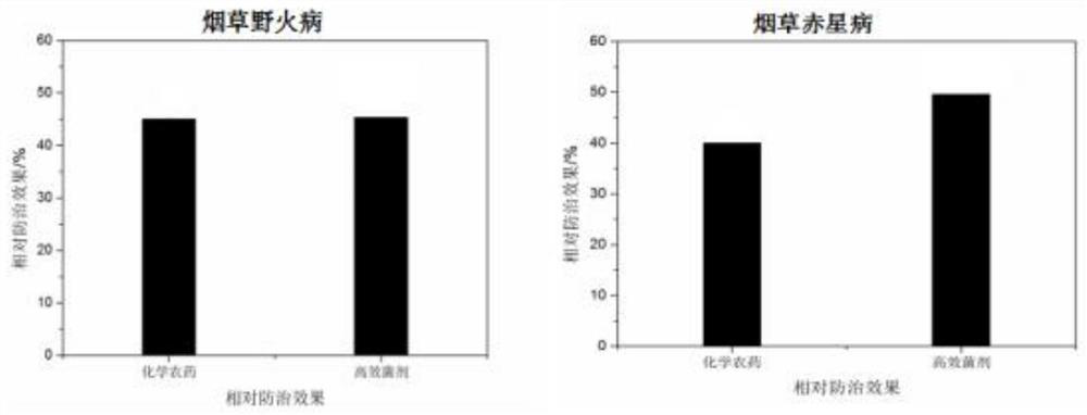 A kind of microbial inoculum for simultaneously preventing tobacco wildfire and scab disease and preparation method