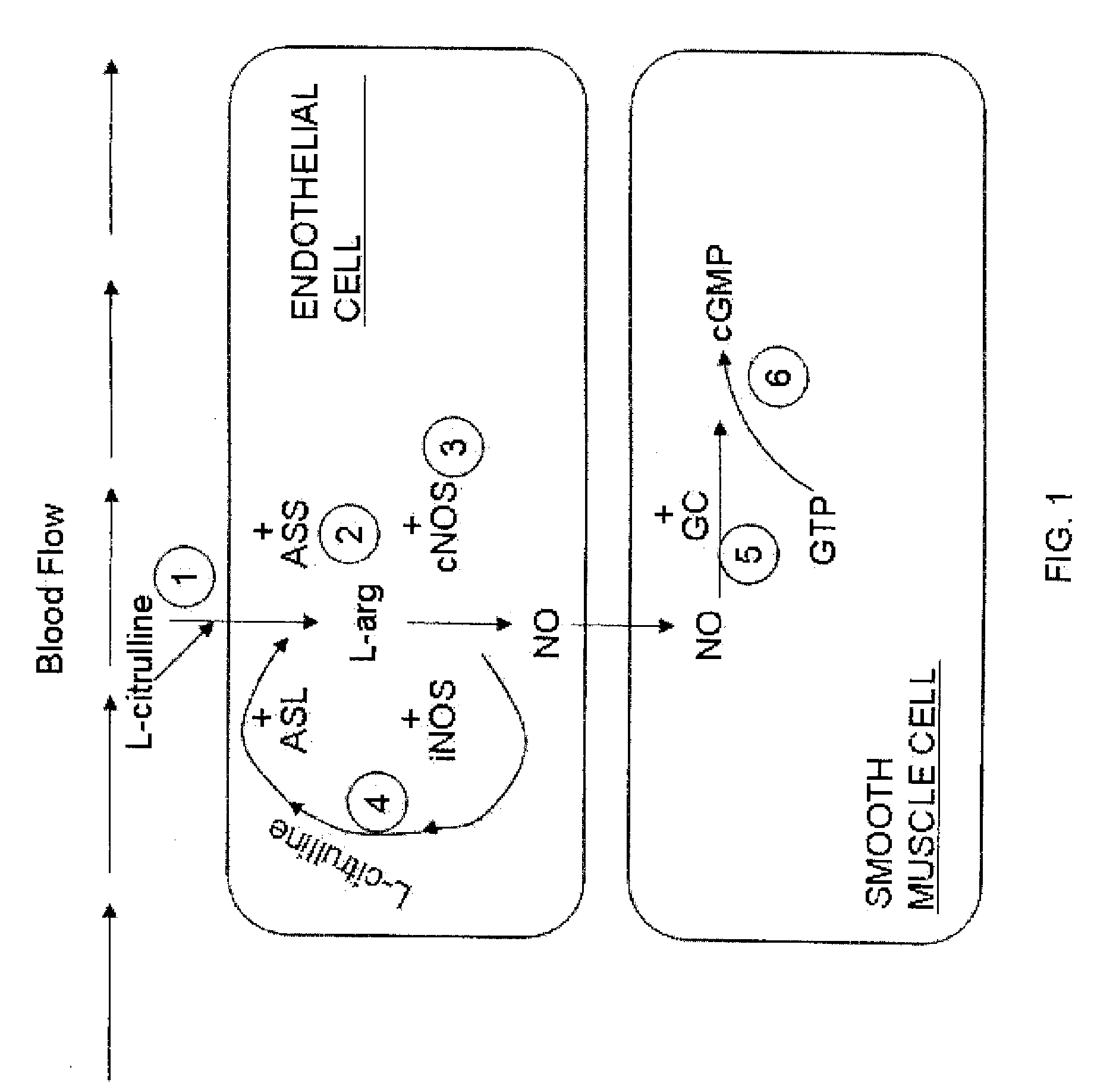 Sensitizing compound and method for increasing sexual sensitivity