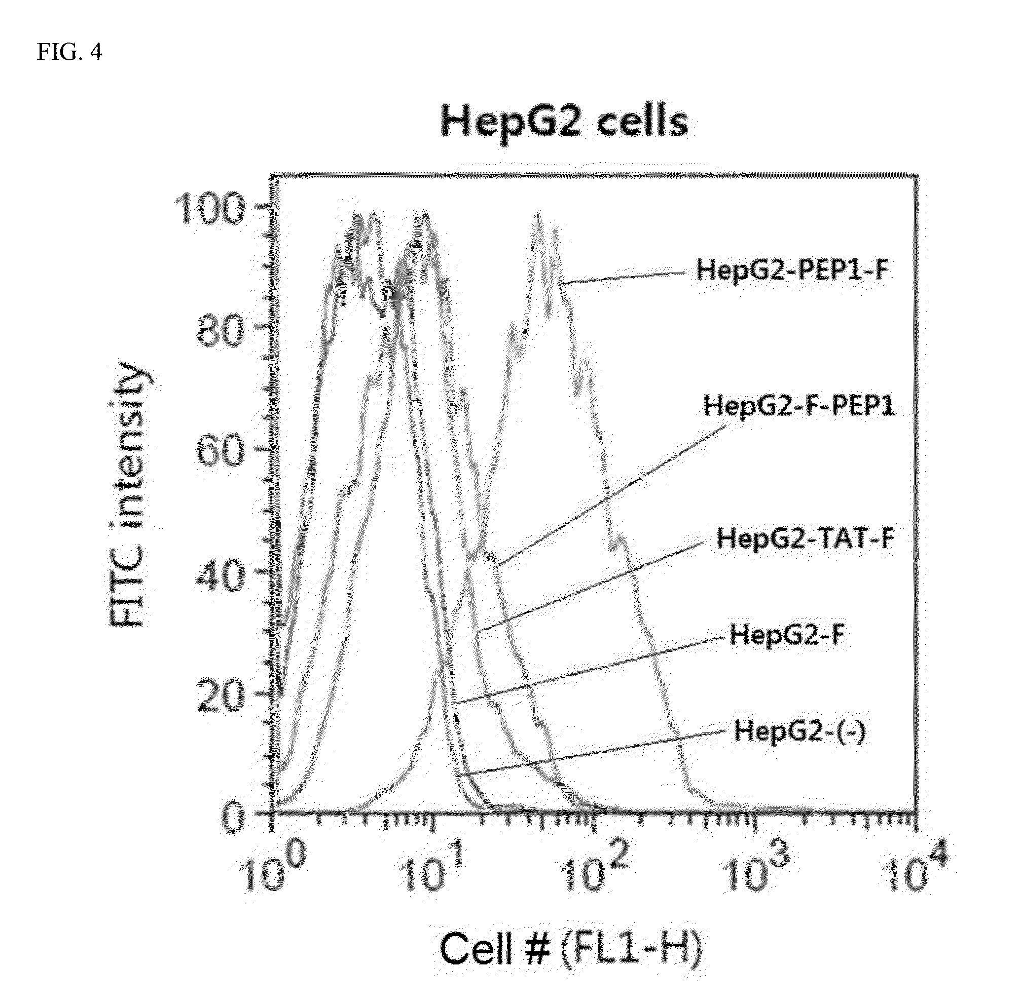 Cell-Penetrating Peptide, Conjugate Comprising Same and Composition Comprising Same