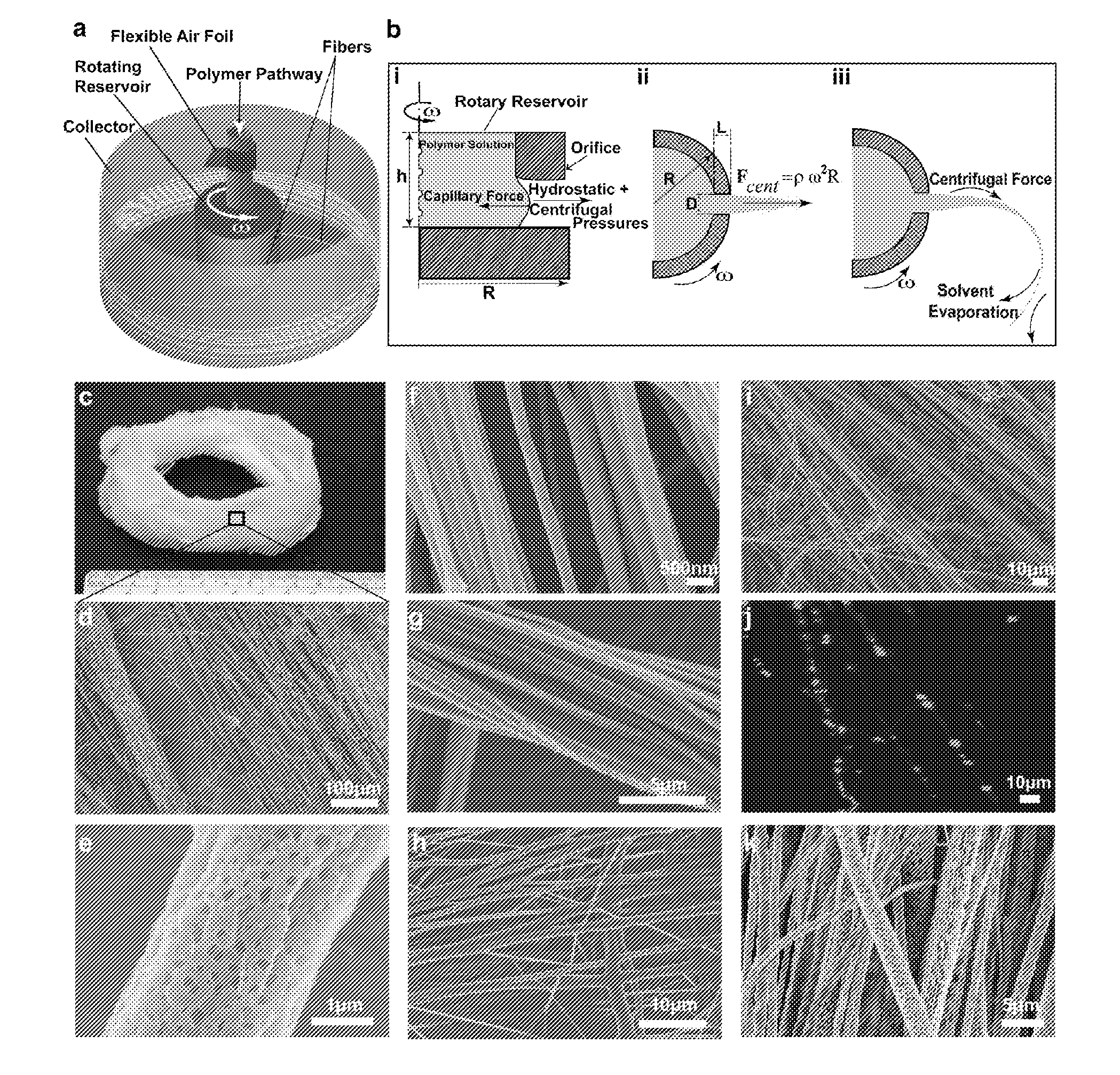 Methods and devices for the fabrication of 3D polymeric fibers