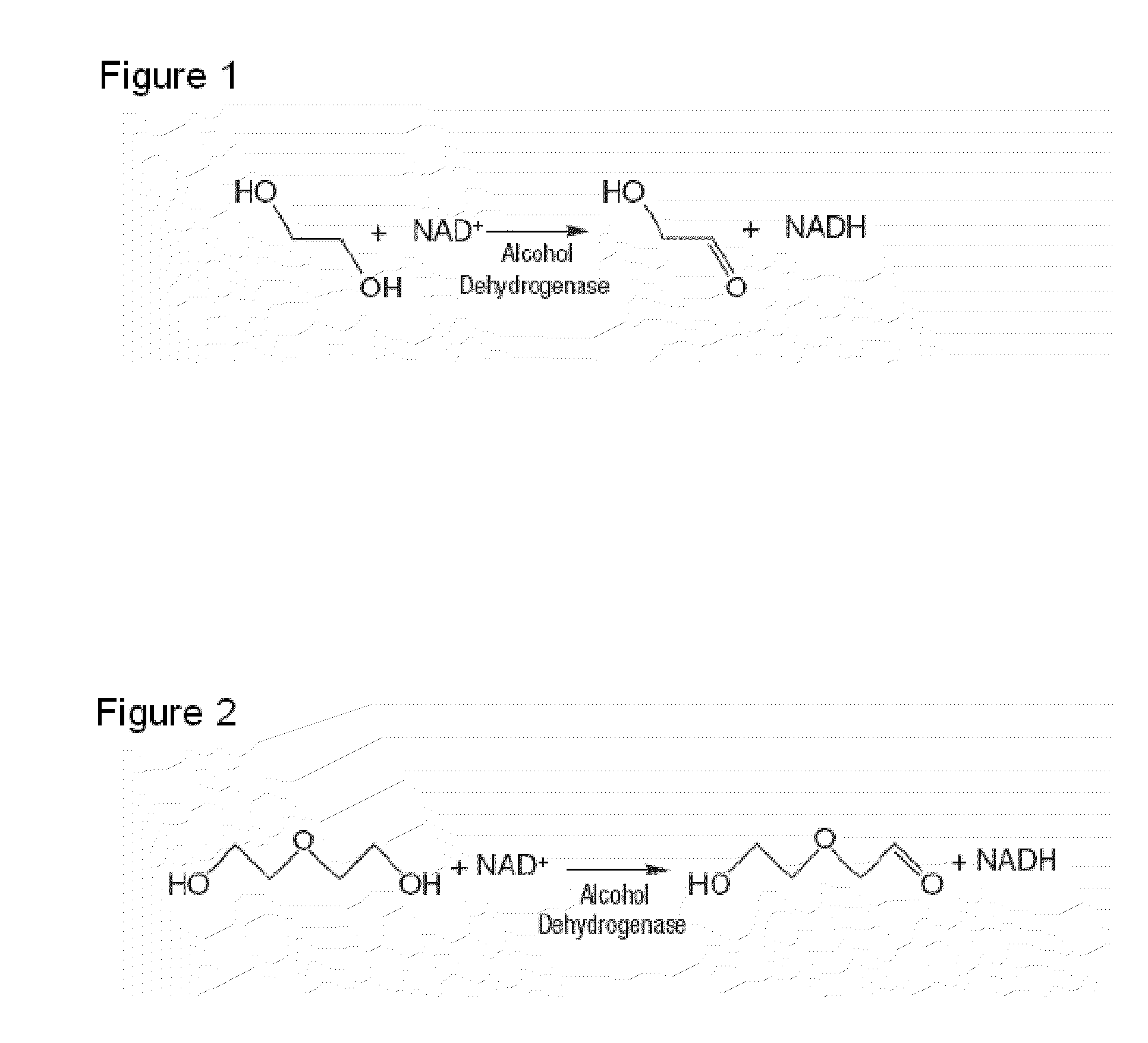 Apparatus and method for detecting glycol