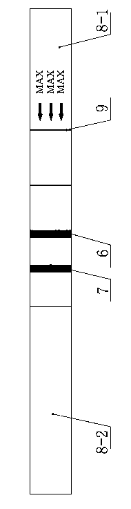 Test paper strip for rapidly detecting traces of chlorothalonil and preparation method thereof