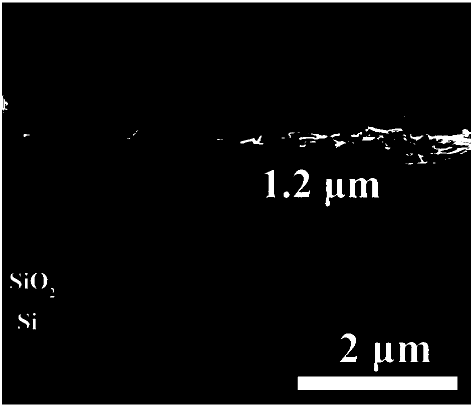 Preparation method of deposited cspbbr3 nanosheet thin film photodetector