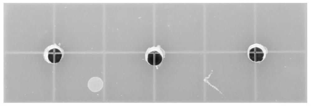 Pseudomonas chlororaphis and application thereof in prevention and treatment of plant bacterial soft rot