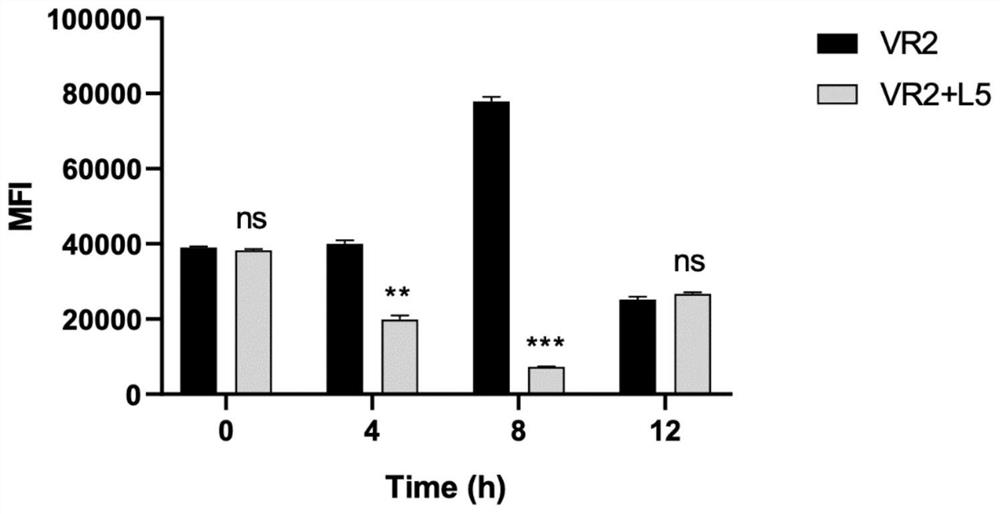 Pseudomonas chlororaphis and application thereof in prevention and treatment of plant bacterial soft rot