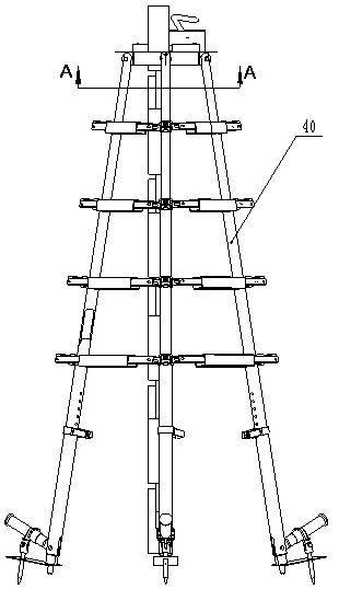 Fruit picking ladder