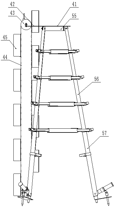 Fruit picking ladder