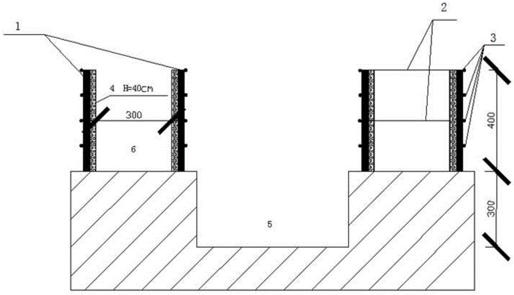 Strawberry simple high frame cultivation method