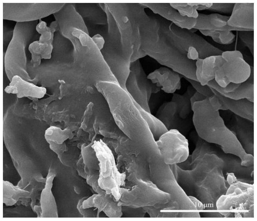 A preparation method of bismuth-based collagen fibers for efficiently capturing iodine vapor