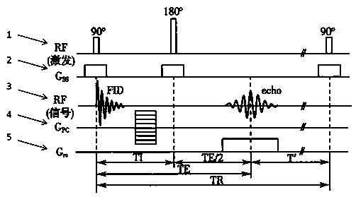 Nuclear Magnetic Resonance Rock Core Spin Echo Imaging Method Eureka