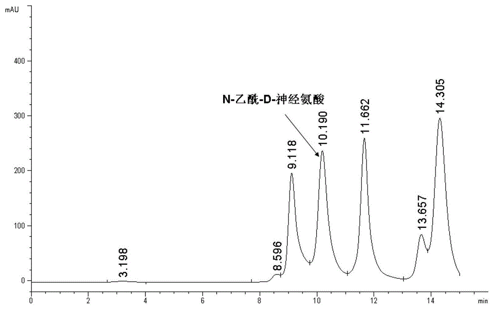 Escherichia coli expression strain and method thereof for producing N-acetyl-D-neuraminic acid