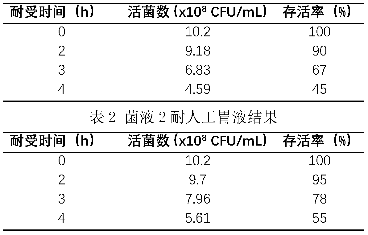 Bacillus coagulans BC99 and screening method thereof