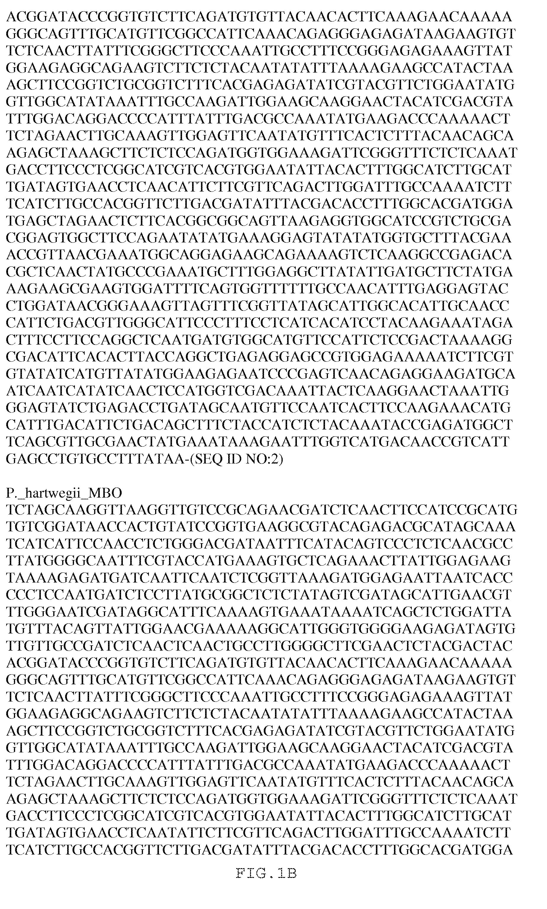 Methyl butenol synthase