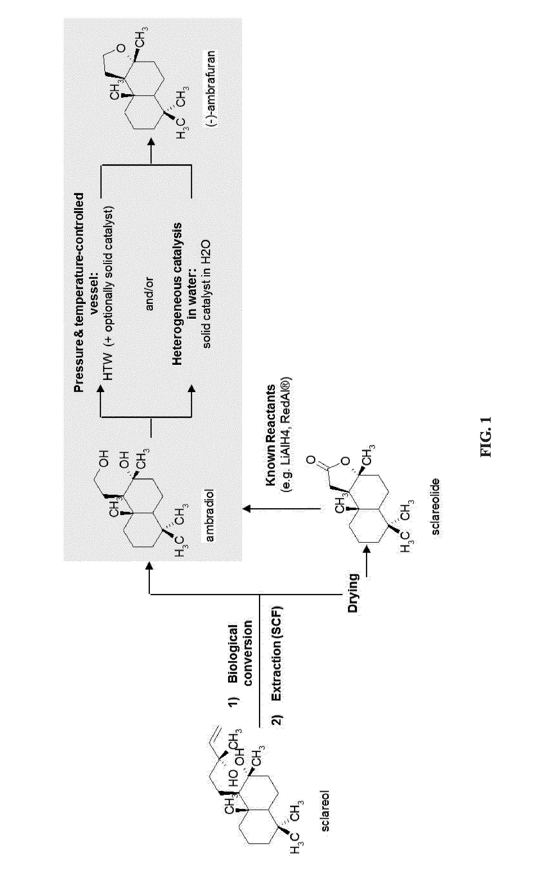 Process for the cyclodehydration of diols and use thereof for the manufacturing of ambrafuran and other cycloether derivatives