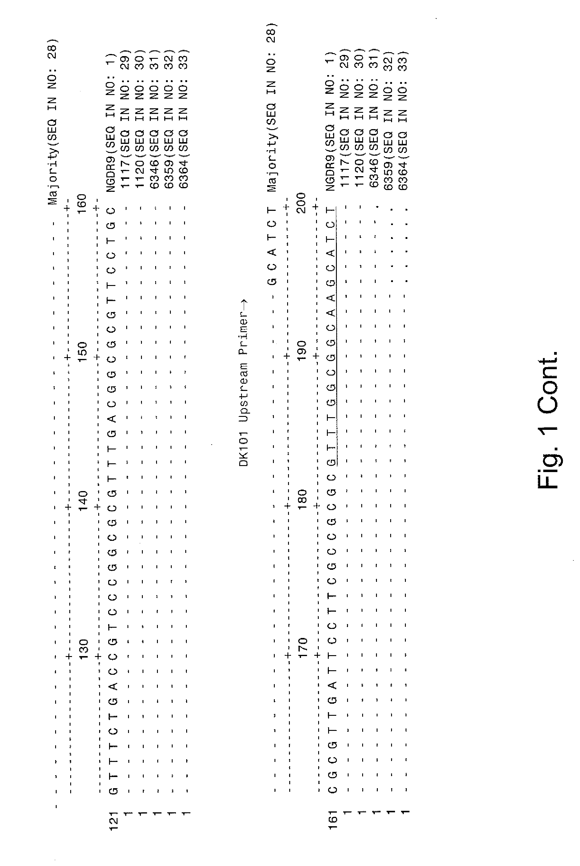 Reagents and methods for detecting neisseria gonorrhoeae