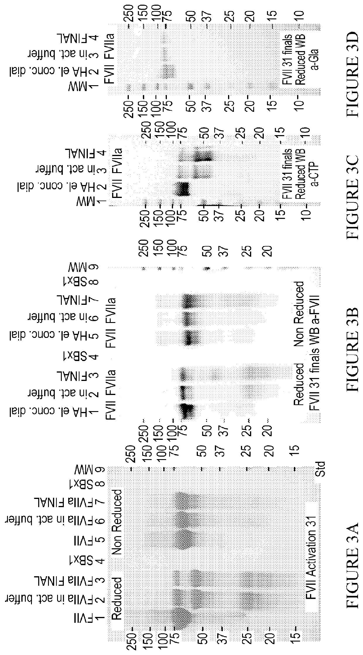 Long-acting coagulation factors and methods of producing same