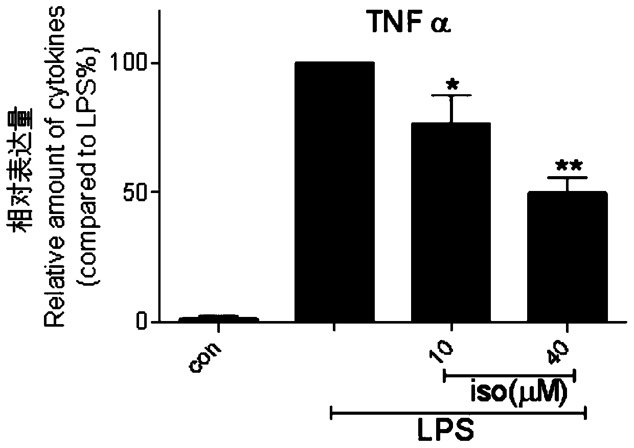 Isoliquiritigenin and application thereof to treatment of acute lung and liver and brain tissue damage