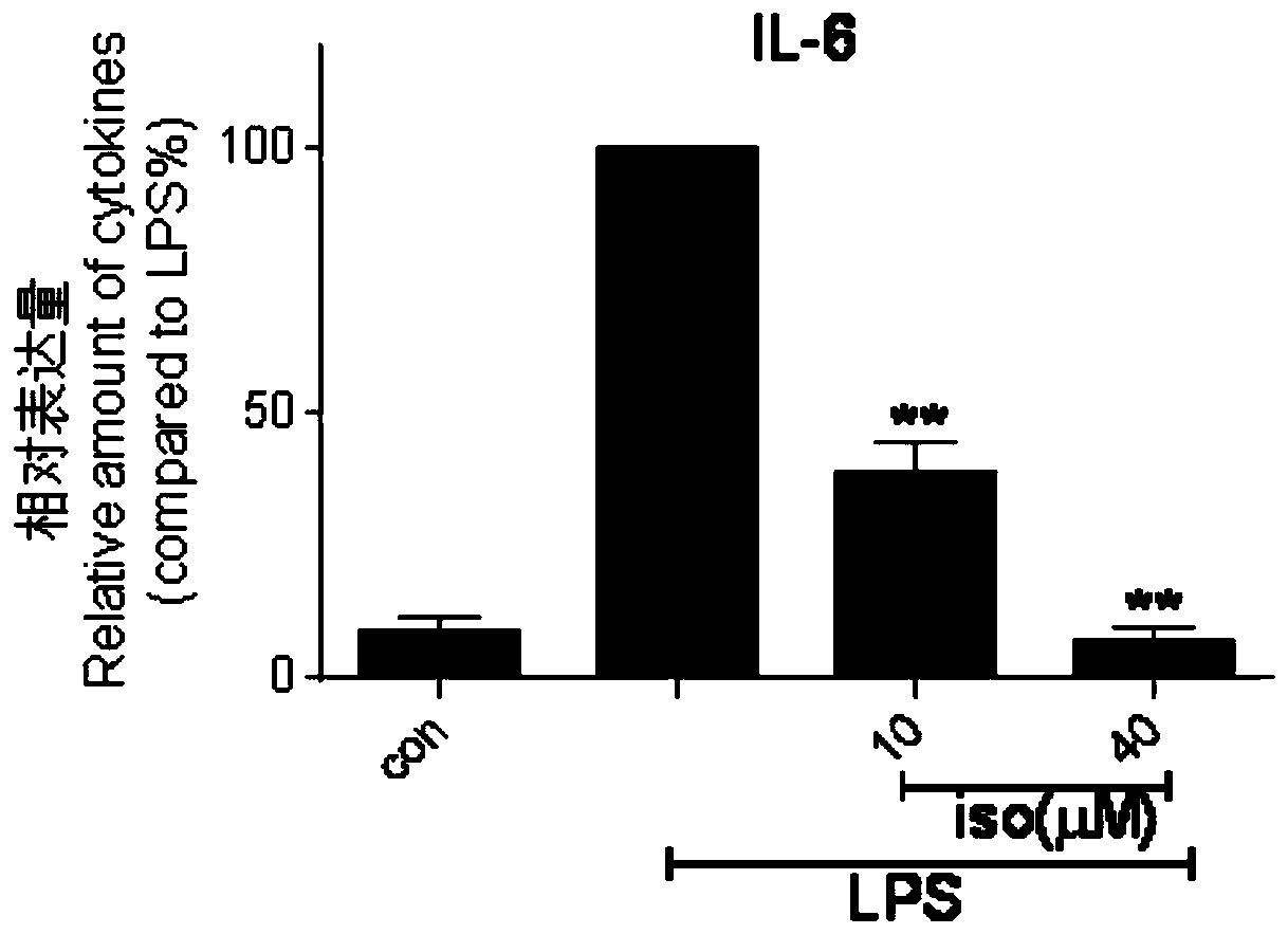 Isoliquiritigenin and application thereof to treatment of acute lung and liver and brain tissue damage