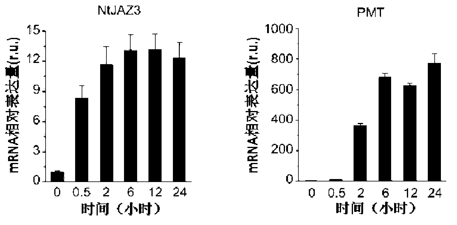 Gene capable of reducing nicotine content of tobacco and application thereof