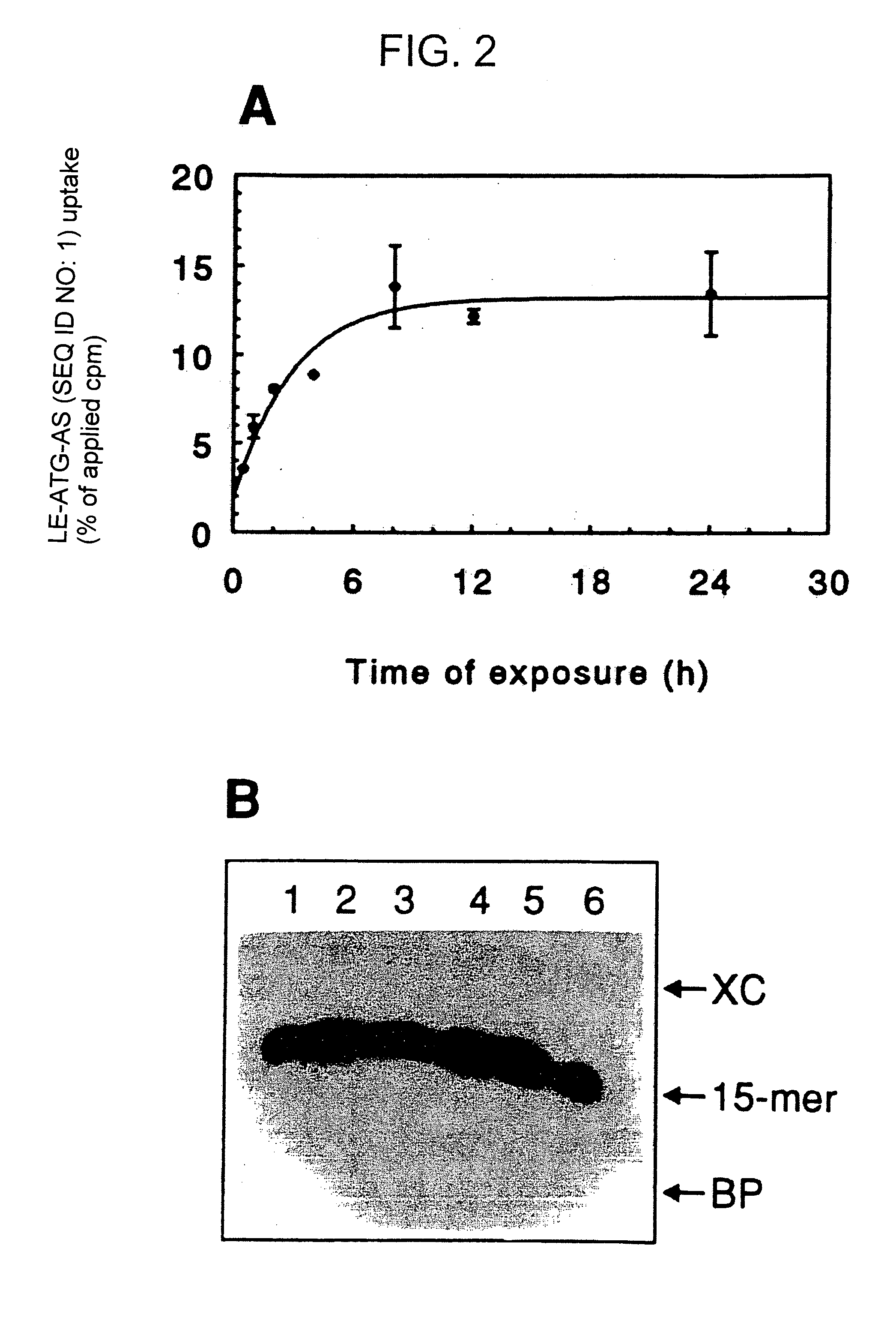 Chemosensitizing with liposomes containing oligonucleotides