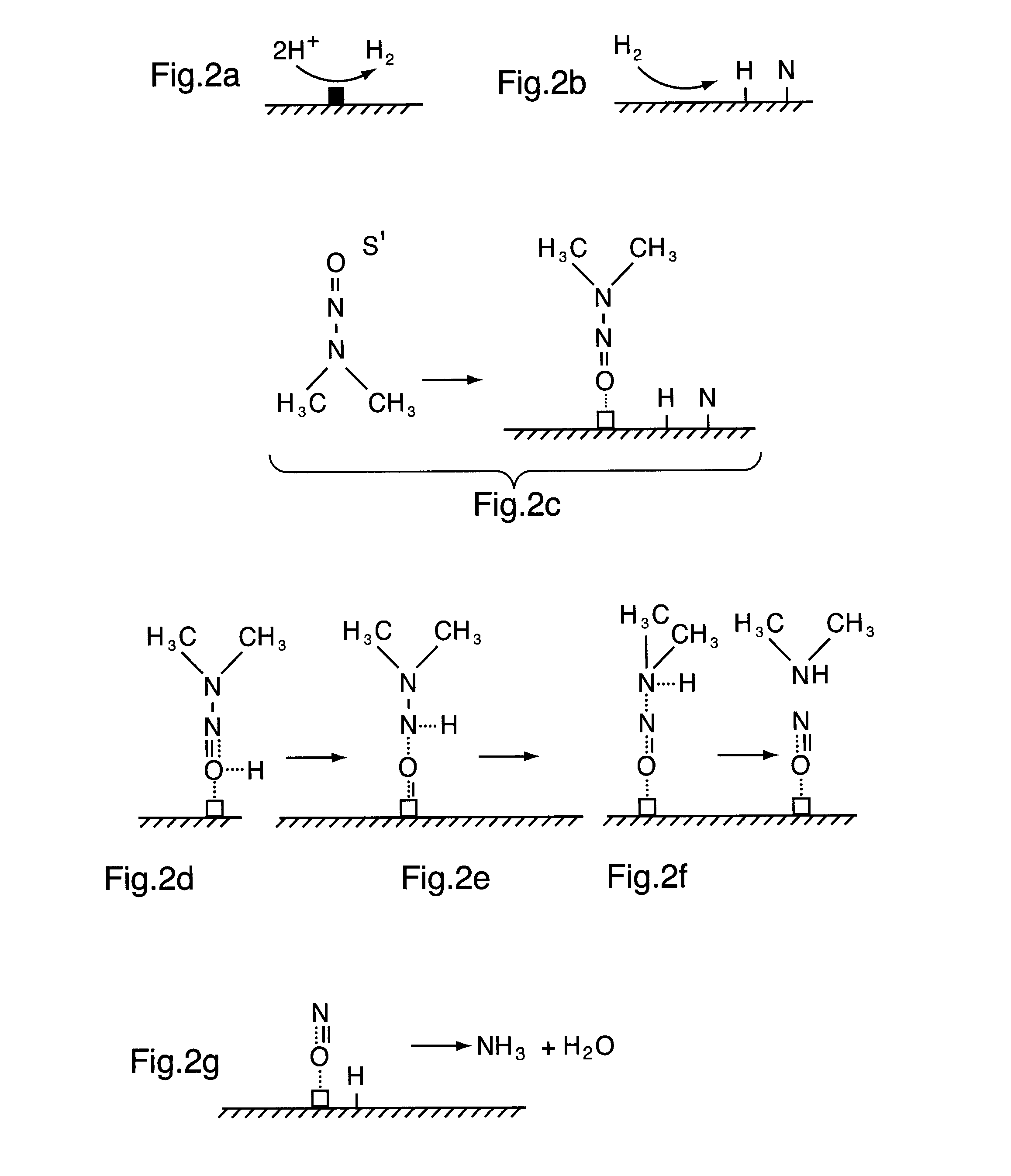 Photocatalyst composition of matter