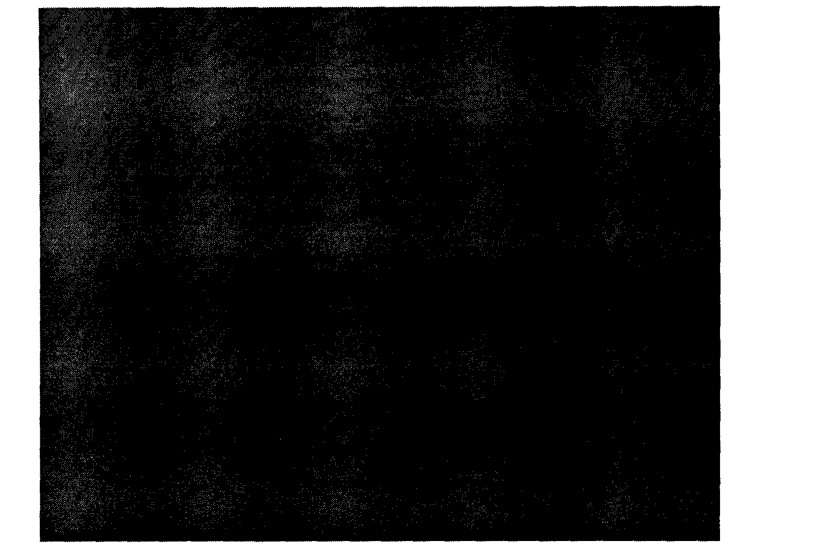 Method for extracting catalpol from rehmannia stem