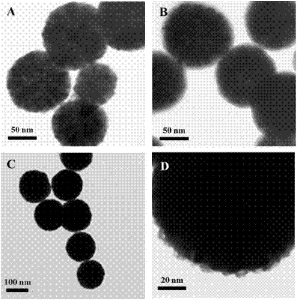 A preparation method of magnetic-fluorescent functional nano-biocomposite with mycotoxin targeting effect