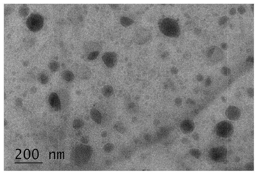 Second near-infrared window nano photosensitizer based on NDI molecules, and preparation method thereof