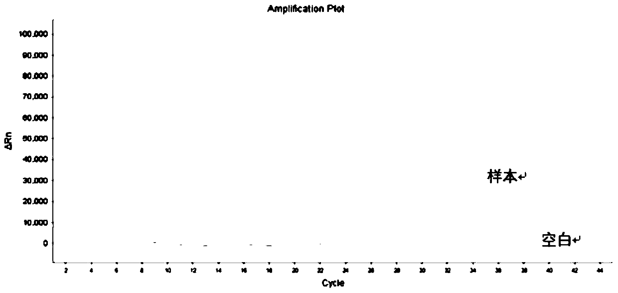 Primers, probes and kit for detecting specific methylation of colorectal tumor