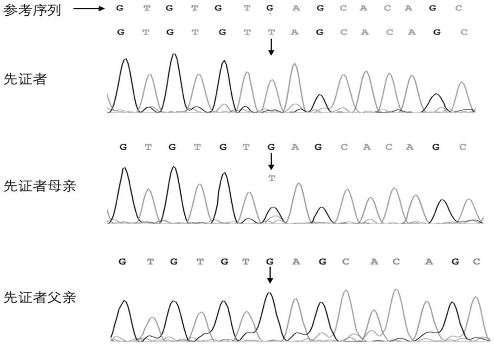 Gene mutants and their applications