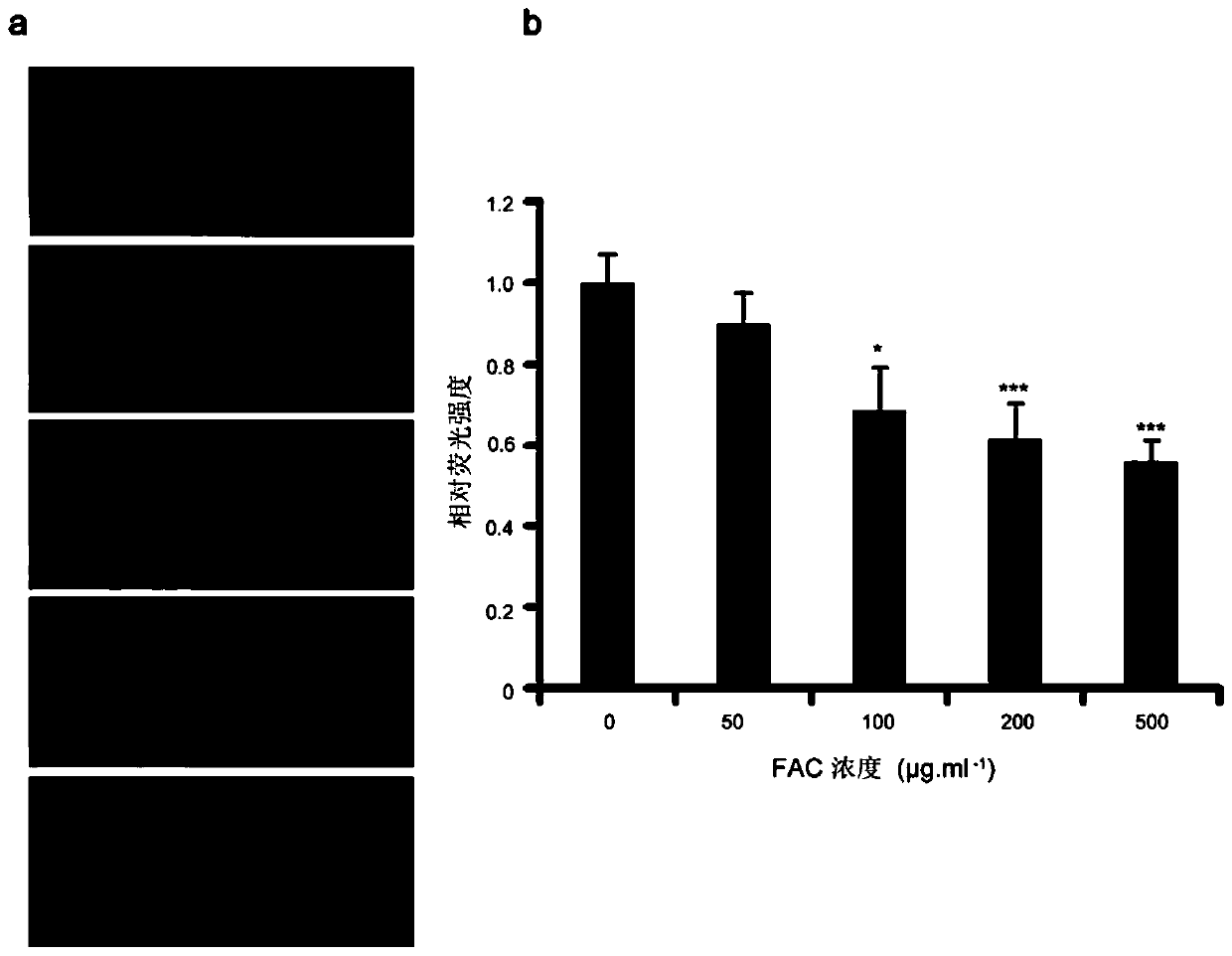 A method for preparing a zebrafish osteoporosis model and its alizarin red staining method