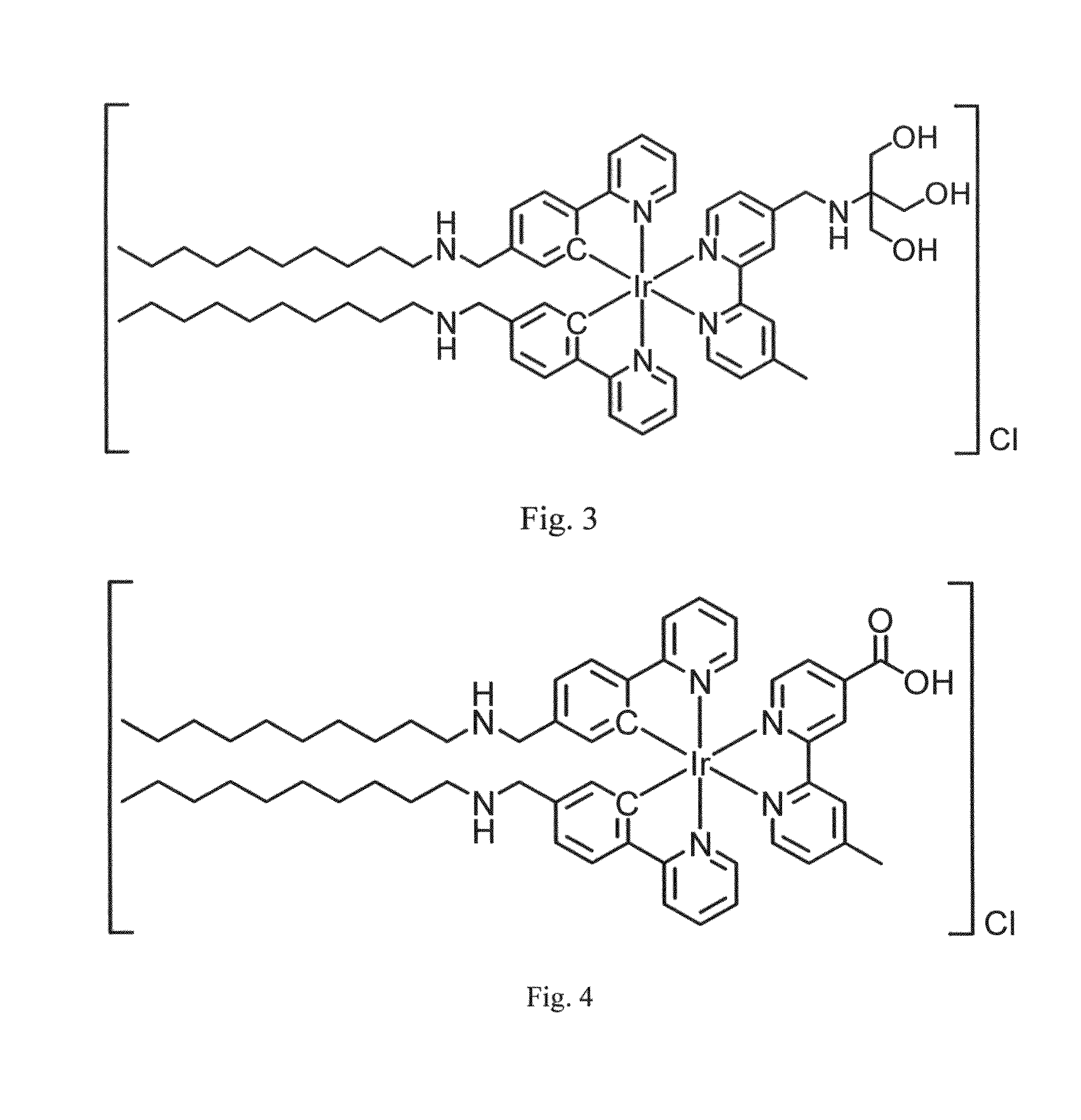 Membrane staining dyes containing phosphorescent transition metal polypyridine complexes