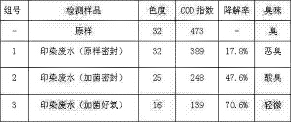 Sewage activated ball and manufacture method thereof