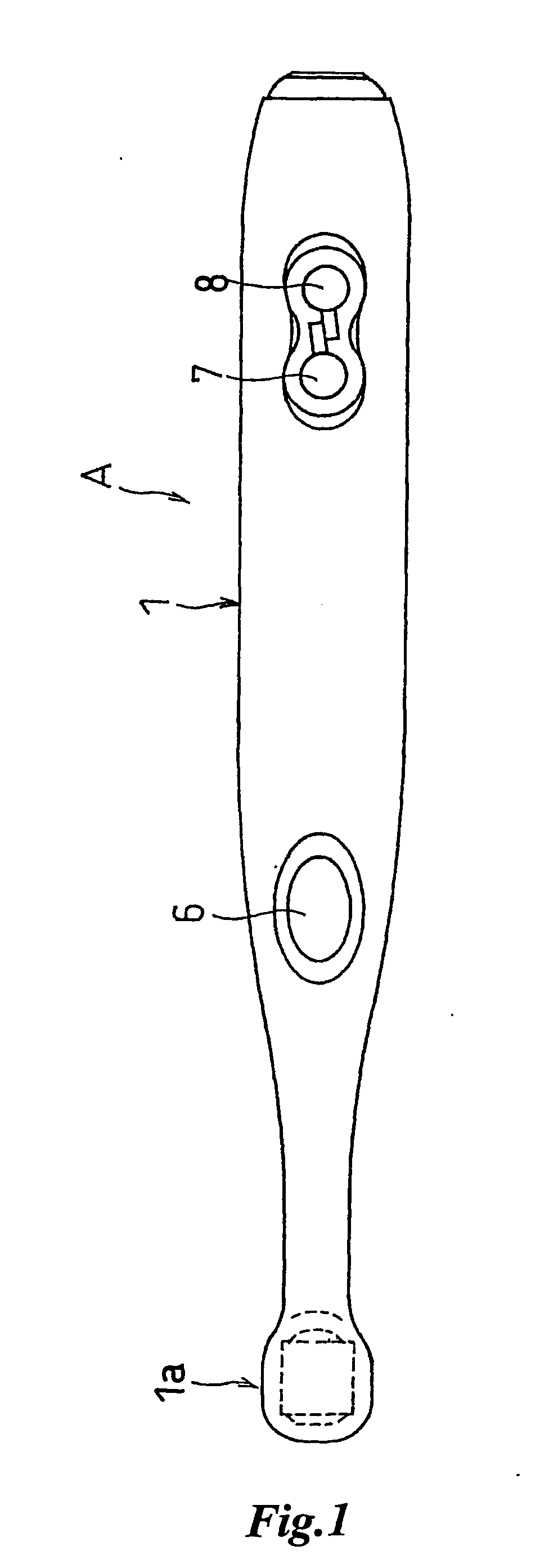 Living Body Observing Apparatus, Intraoral Imaging Apparatus and Medical Treatment Appliance