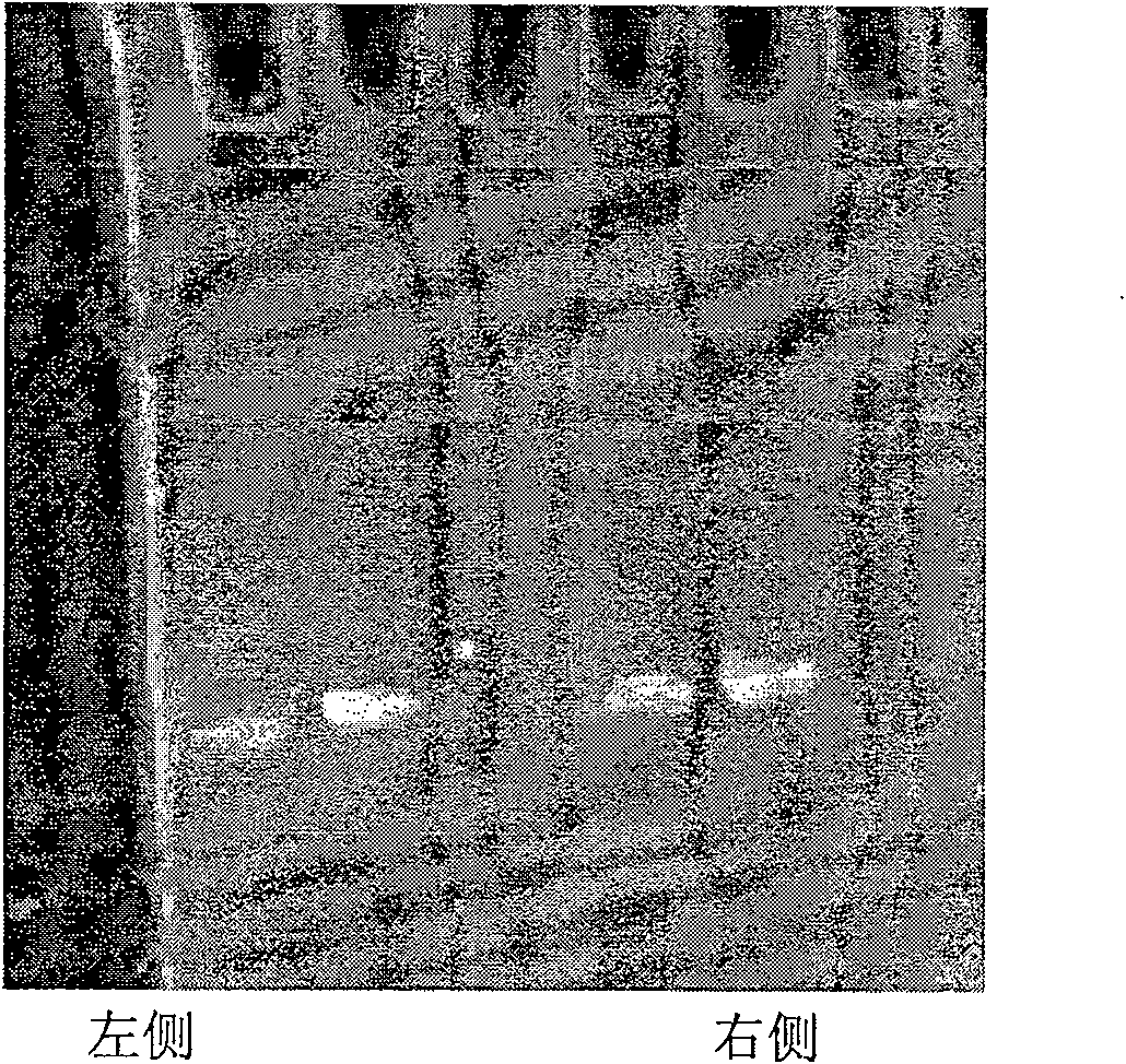 Antisense oligonucleotide probe contrast agent marked by superparamagnetism iron oxide and production of the same