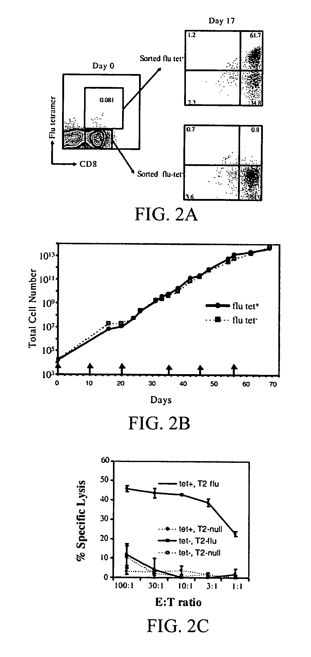 Artificial antigen presenting cells and uses therefor