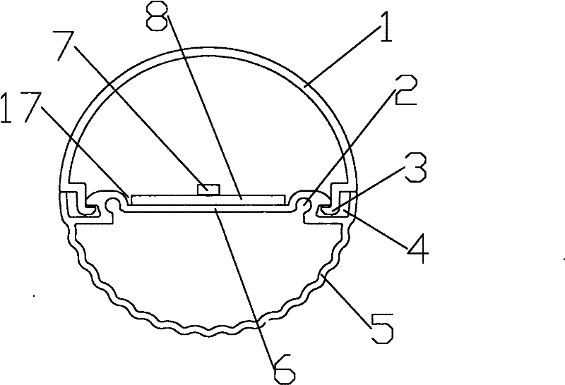 Light-emitting diode (LED) daylight lamp