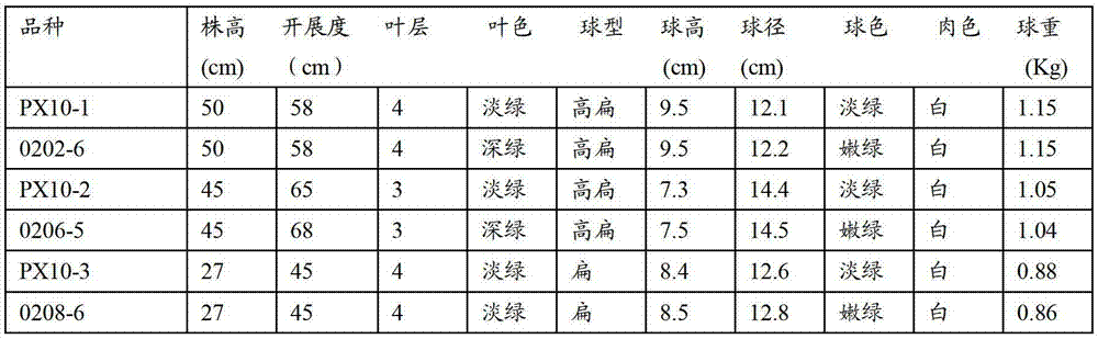 Method for transforming wild cabbage into male sterility line of kohlrabi and breeding hybrids