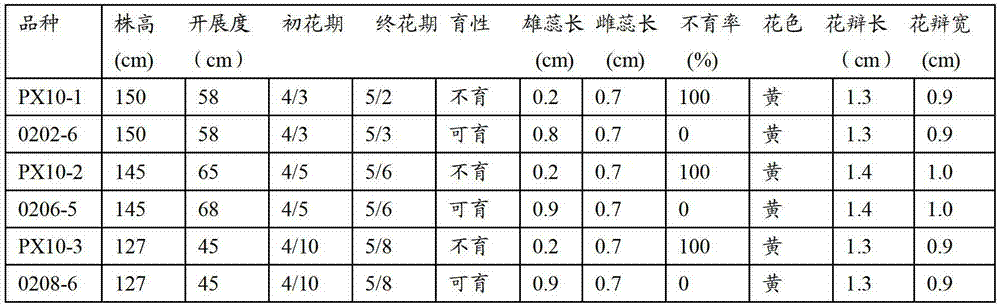 Method for transforming wild cabbage into male sterility line of kohlrabi and breeding hybrids