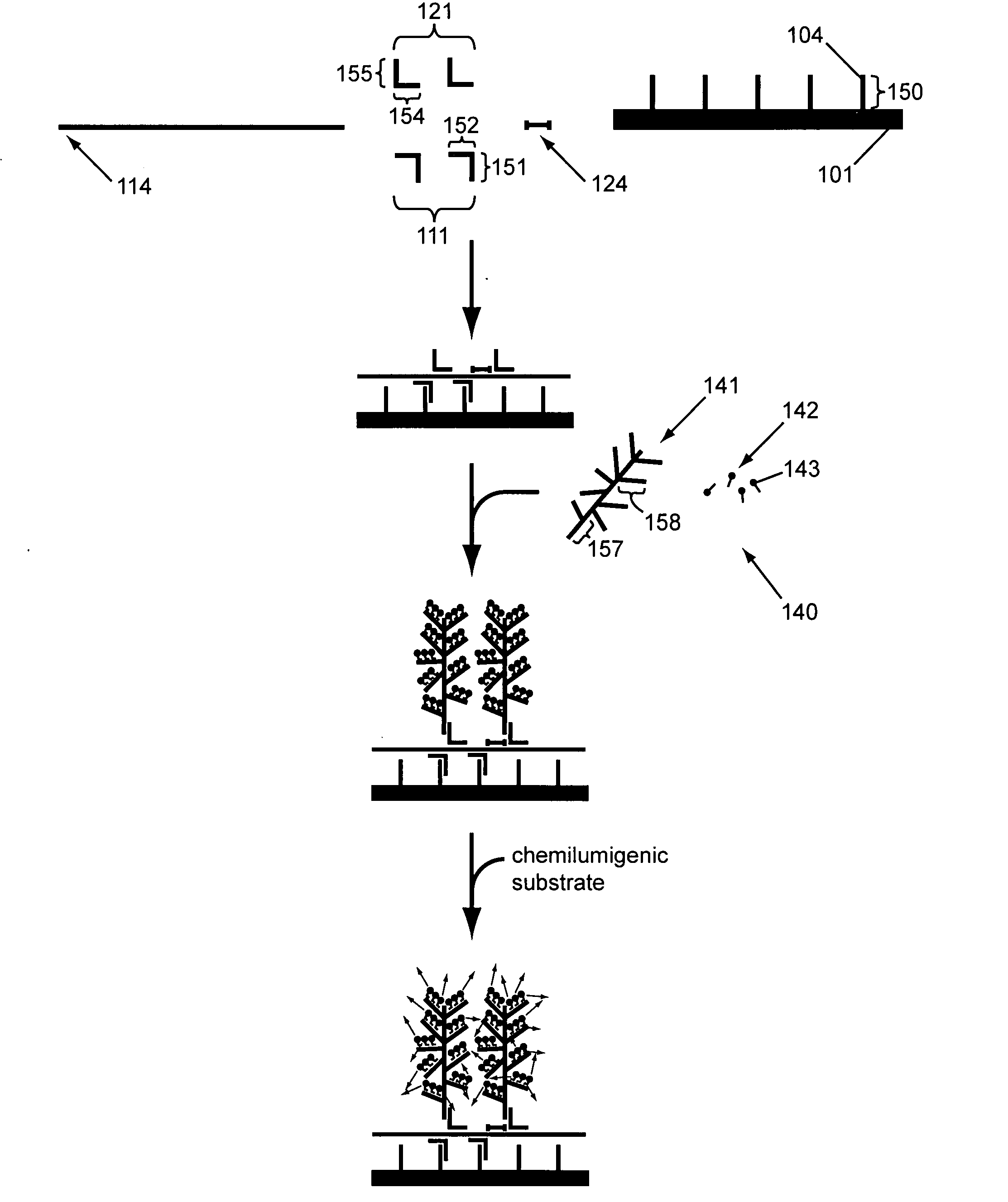 Two stage nucleic acid amplification using an amplification oligomer