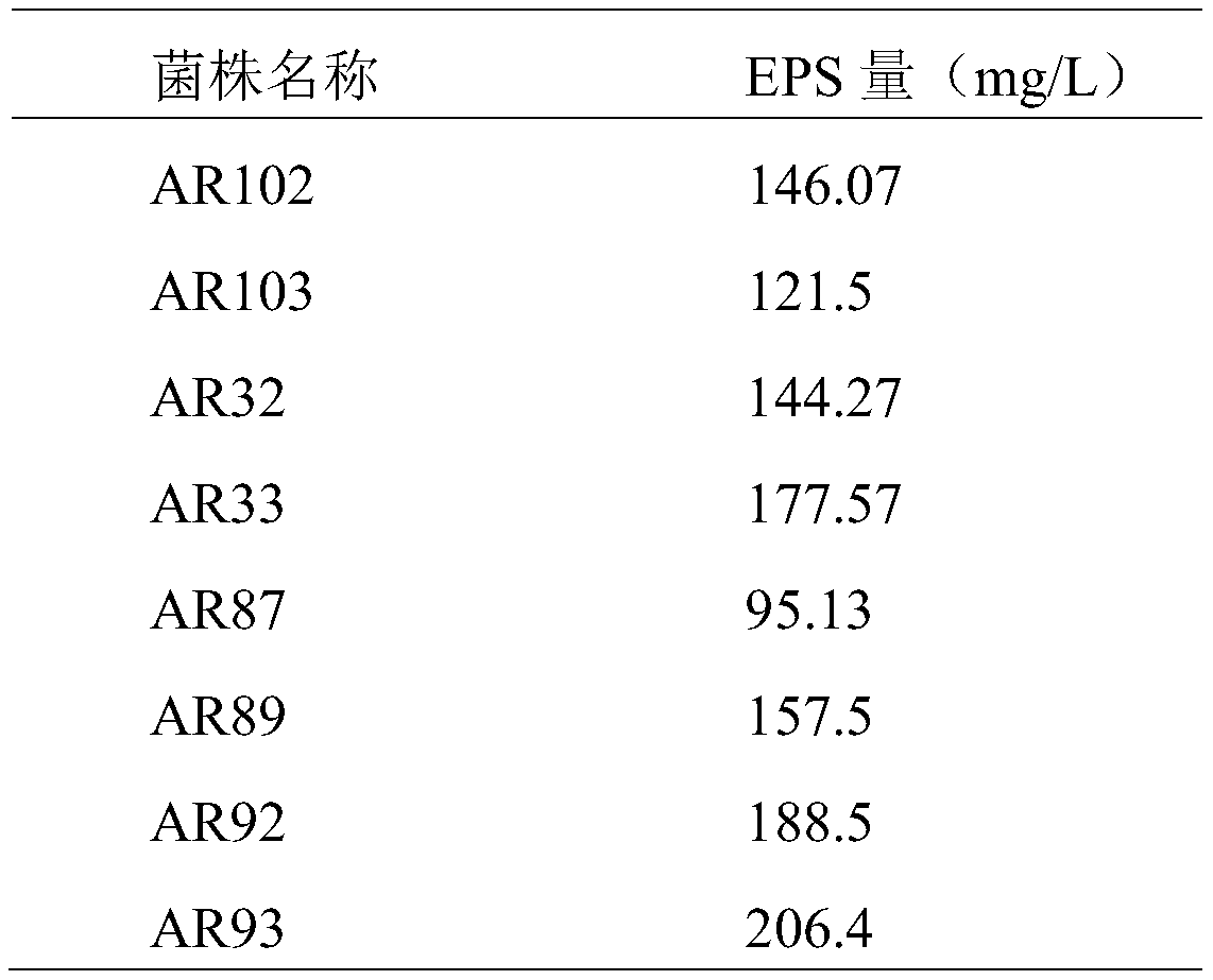 A strain of Lactobacillus paracasei and its application