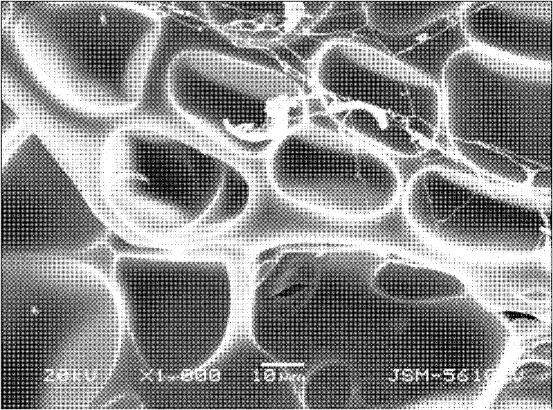 Chitosan derivative self-crosslinked antimicrobial hydrogel using oxidized konjak as crosslinking agent and preparation method thereof