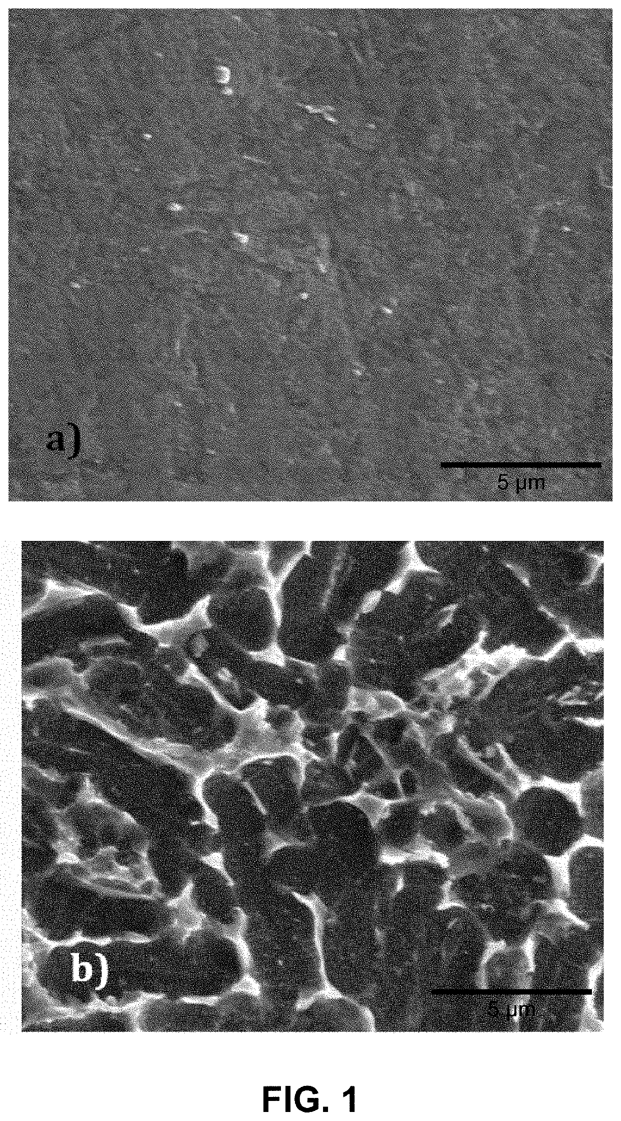 Nanostructured titanium-based compositions and methods to fabricate the same