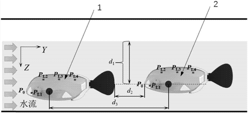 Adjacent underwater robot short-distance sensing method based on artificial lateral line systems
