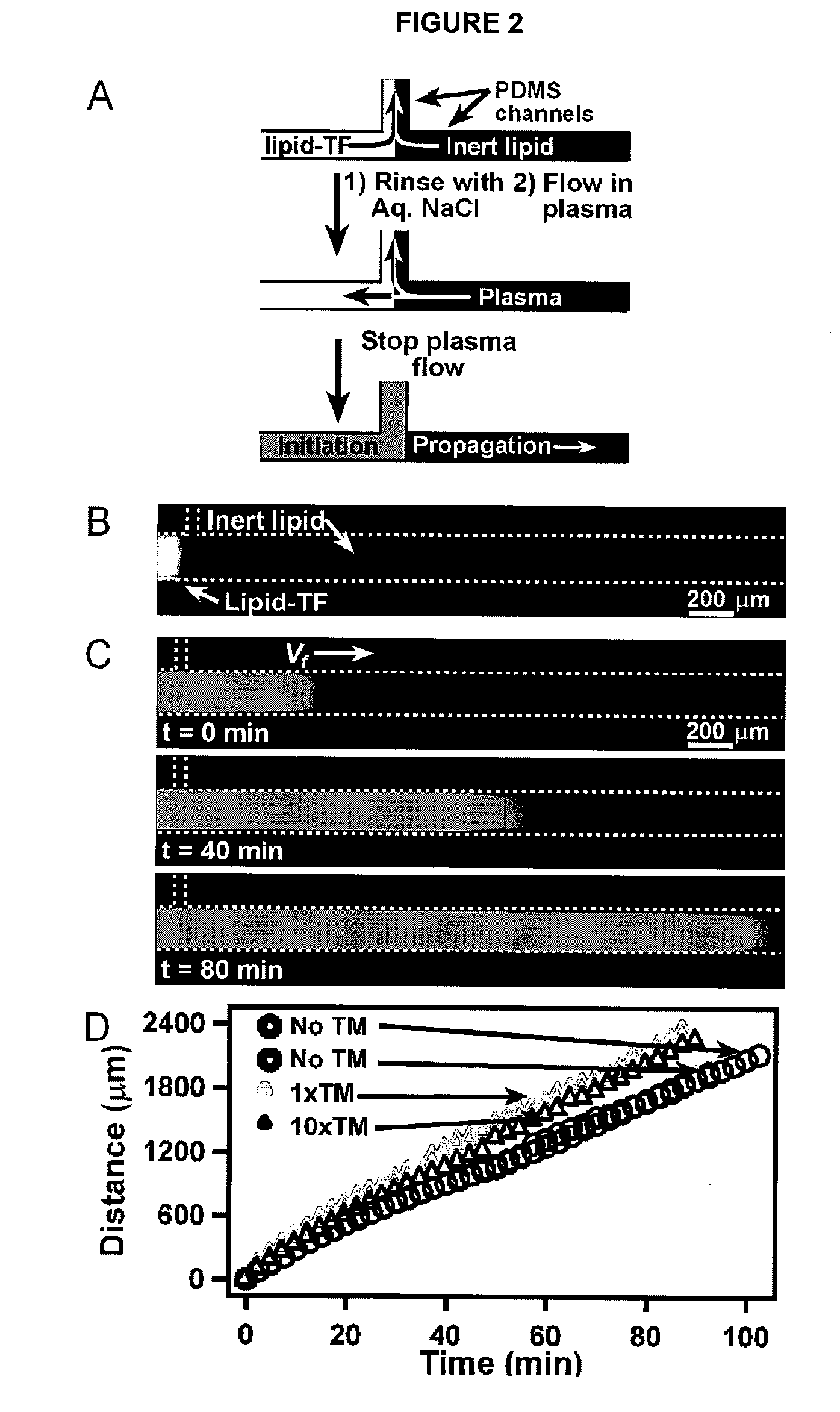Method and Apparatus for Assaying Blood Clotting