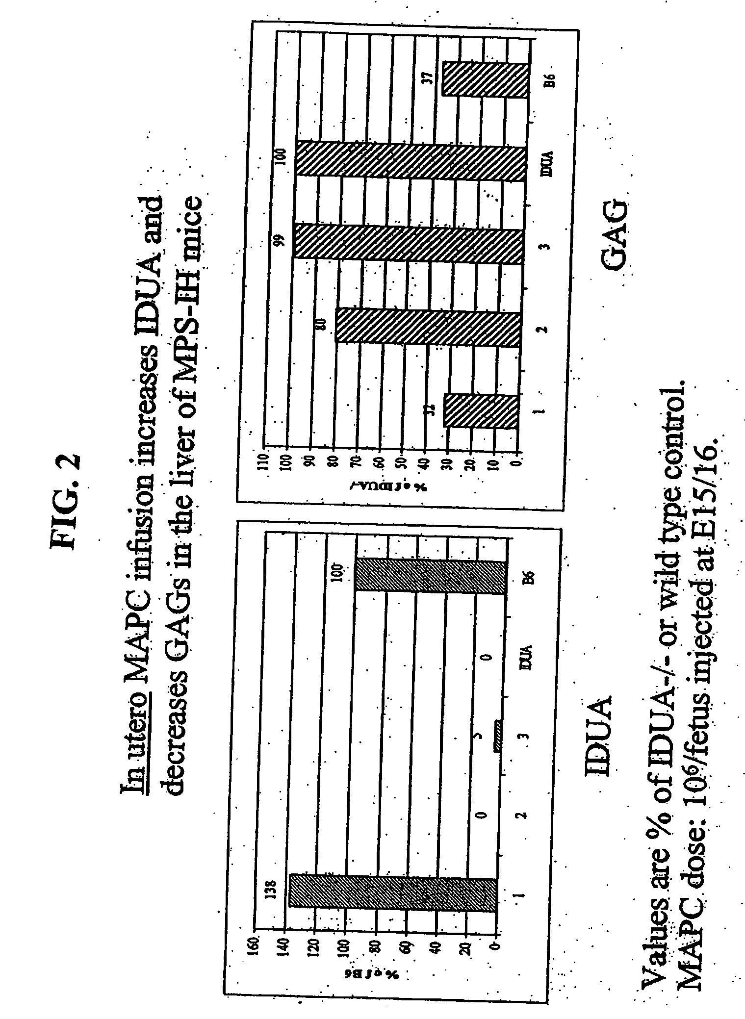 Compositions and methods for the treatment of lysosomal storage disorders
