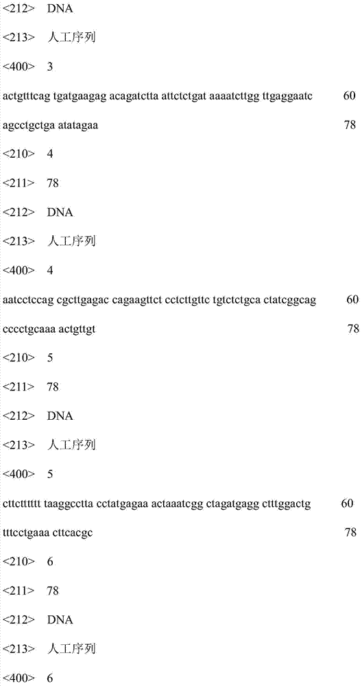 A gene chip for the screening of causative genes of primary cilia-related diseases